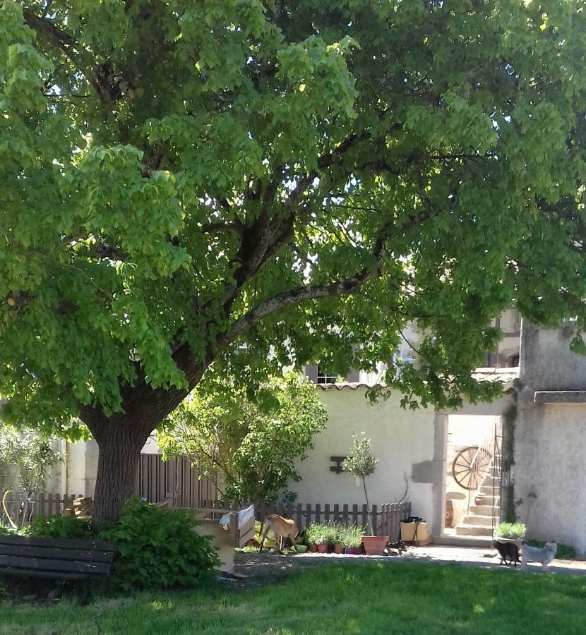 Le Patio Aux Hirondelles Villa Lagorce  Luaran gambar