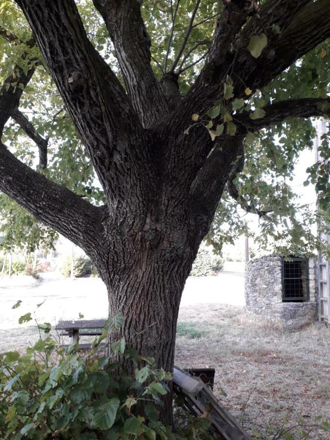 Le Patio Aux Hirondelles Villa Lagorce  Luaran gambar